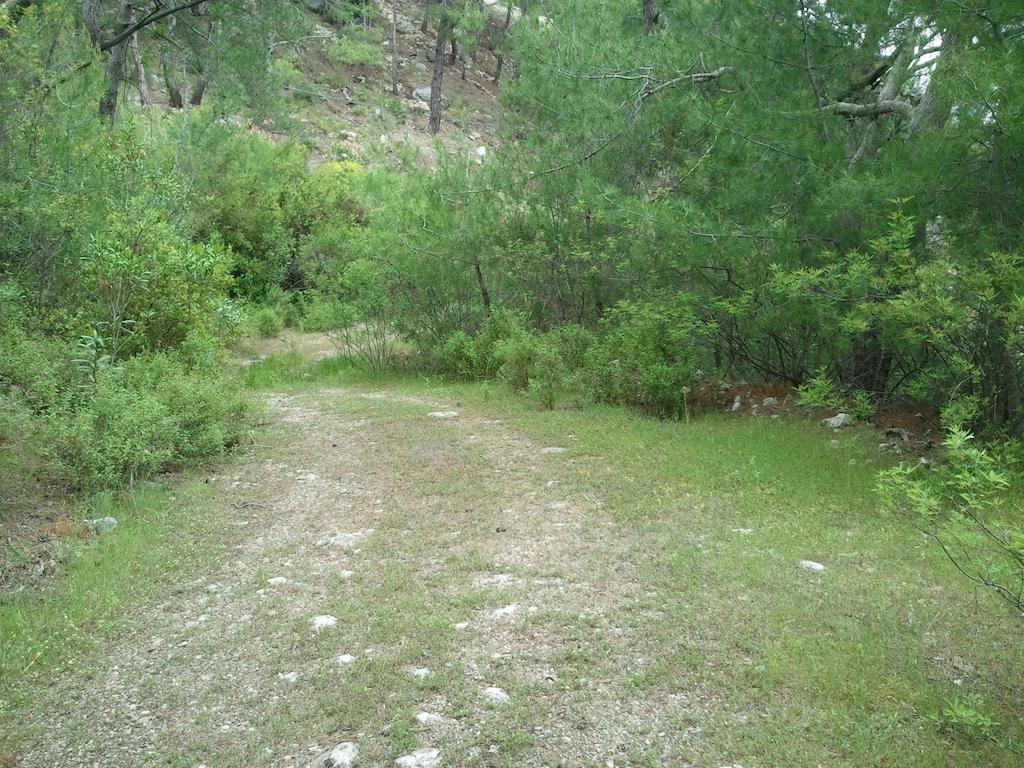 Saklikoy Bungalows Hisarcandir Quarto foto